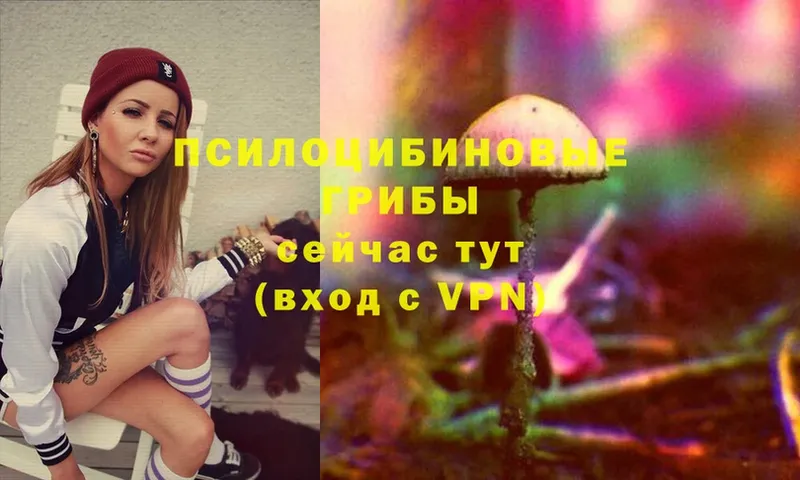 Галлюциногенные грибы Cubensis  OMG зеркало  Тобольск 